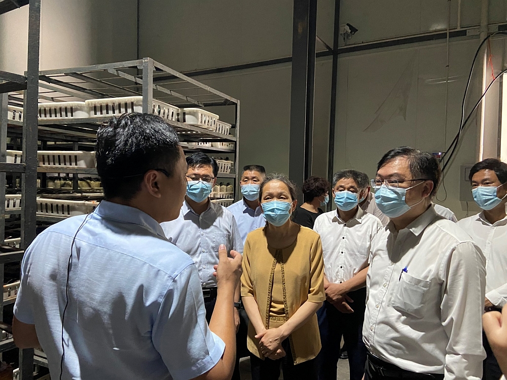 駐山東聯絡處副主任方明遠（前排右）及山東省委台港澳辦副主任尹曉民（前排中）等考察臨清清源正本生物醫藥科技有限公司