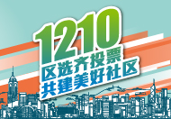 2023年区议会一般选举